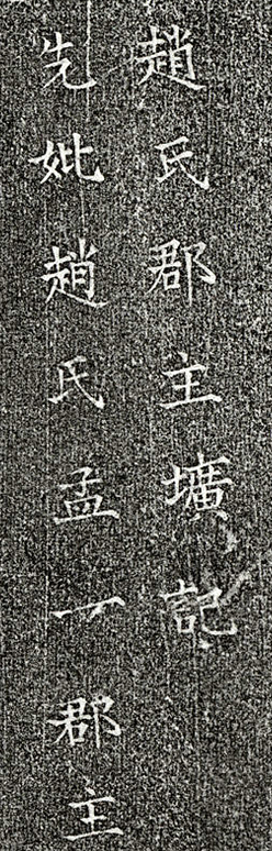 赵孟一.png